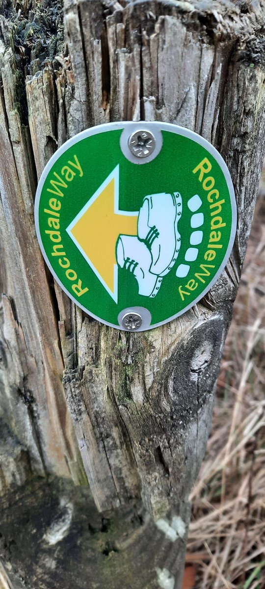 bexxym40's tweet photo. Been on a 7 mile circular walk today around #Middleton, alot on #RochdaleWay. Not the most picturesque but I still enjoyed it (even though I had a Chesney Hawke earworm all the way round π±). https://t.co/7OfwPNYa5h
