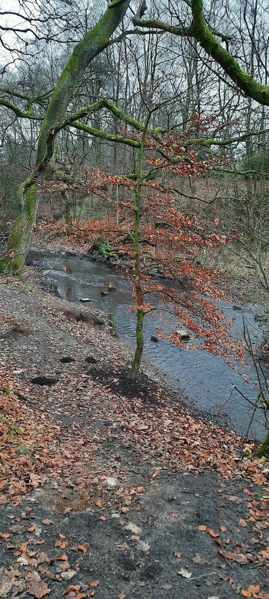 bexxym40's tweet photo. Been on a 7 mile circular walk today around #Middleton, alot on #RochdaleWay. Not the most picturesque but I still enjoyed it (even though I had a Chesney Hawke earworm all the way round π±). https://t.co/7OfwPNYa5h