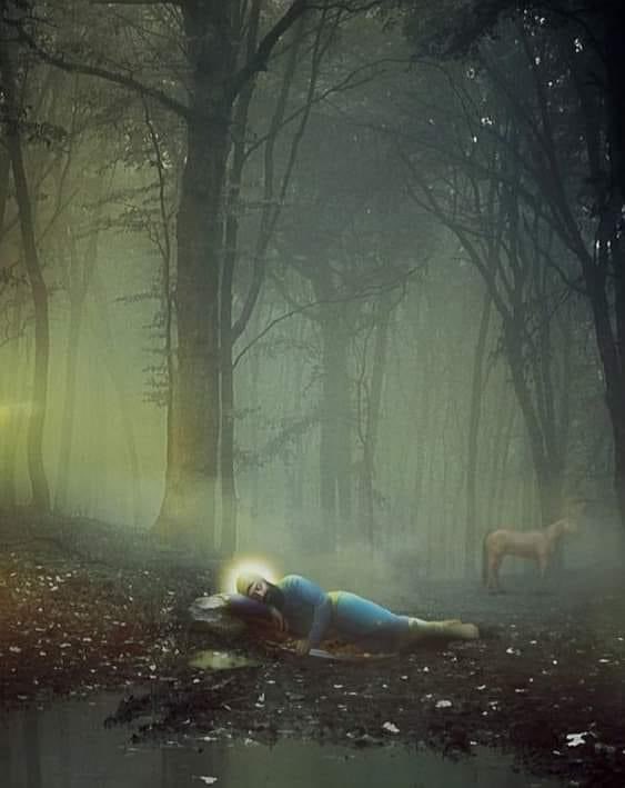 AllAboutSikhism's tweet image. Dhan Dhan Shri Guru Gobind Singh Ji...🙏🏻