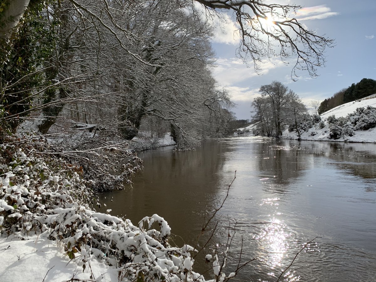 ✨Happy Christmas ✨
Thanks to everyone who came and fished the Tiptoe beat in 2021. Hope to see everyone in 2022 🎣
Tight lines and Happy holidays 
#Tiptoebeat #RiverTill