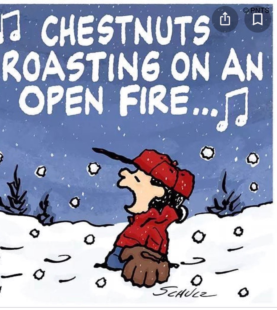sovaygolf's tweet image. Chestnuts roasting on an open fire, Jack Frost nipping at your nose.  Between your nuts and your nose, you can get wiped out at Christmas. @kelbob64 @BrockHuard @BigWalt71 @BrianKruhlak @tylerwonggolf @sweetsPGA @Hoganardi