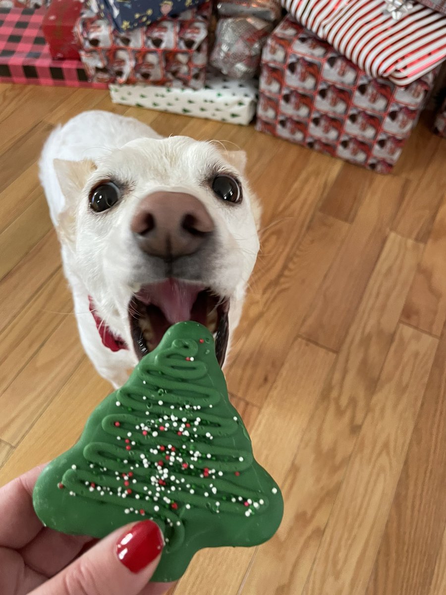 ItsCaseyKay's tweet photo. Christmas snacks🎄@RarezyGG https://t.co/5R18eg3W51