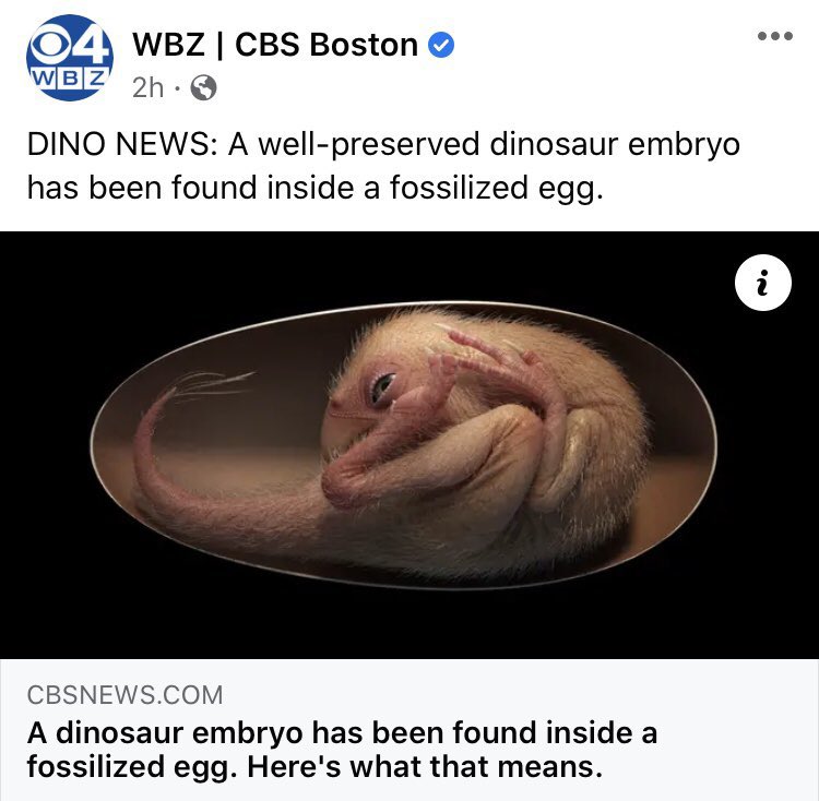 Fuck it. Let it hatch. Who cares anymore