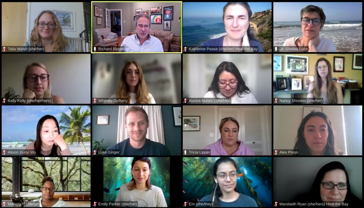 HealTheBay's tweet photo. Thank you to @AsmRichardBloom for joining us on a recent all staff call to discuss #AB1066 passing and other environmental accomplishments this year. https://t.co/jMLU0pThI9
