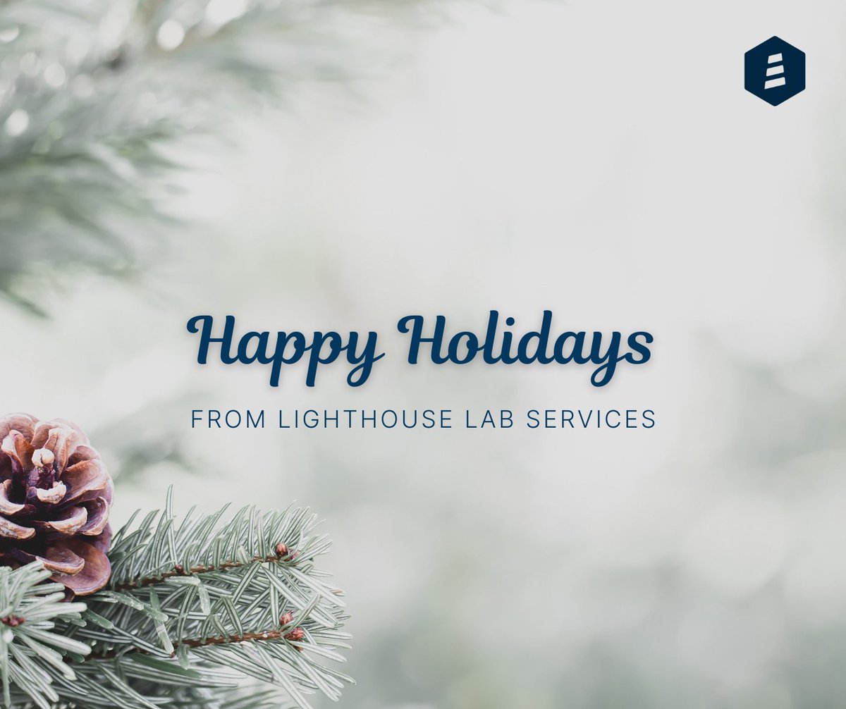 LighthouseLabSv's tweet photo. Wishing everyone a happy and safe holiday season.
#lighthouselabservices #holiday2021 #happyholidays2021 https://t.co/Nhe4xMHylz