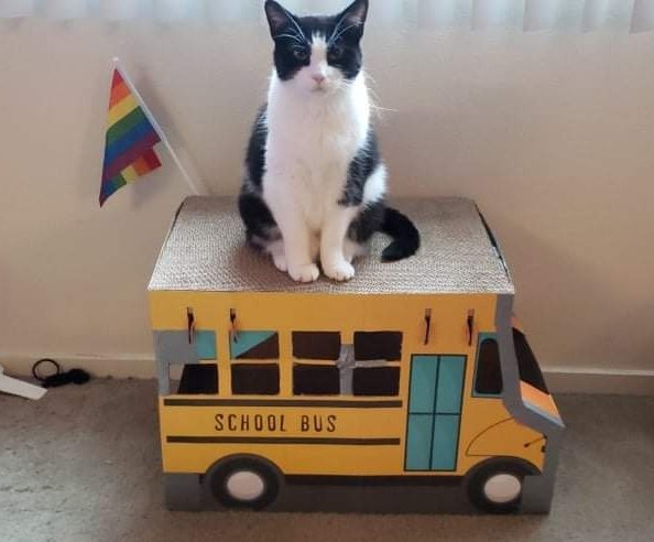 DonutRevival's tweet photo. Happy Holidays, from new Bus Driver, #MagicalJobcat. ๐๐ฉ๐ฎ๐ฑ๐งฑ #CultHeroes #AccidentalMagic https://t.co/cKvsjgstw0