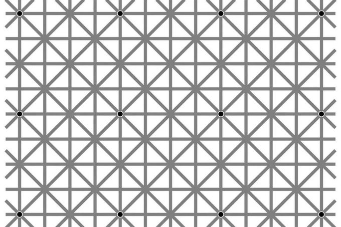 Rainmaker1973's tweet photo. There are 12 black dots at intersections in this image. Your brain won’t let you see them all at once. Here's why [read more: https://t.co/5iQR5WZg6y] https://t.co/AVzI9ZulHs