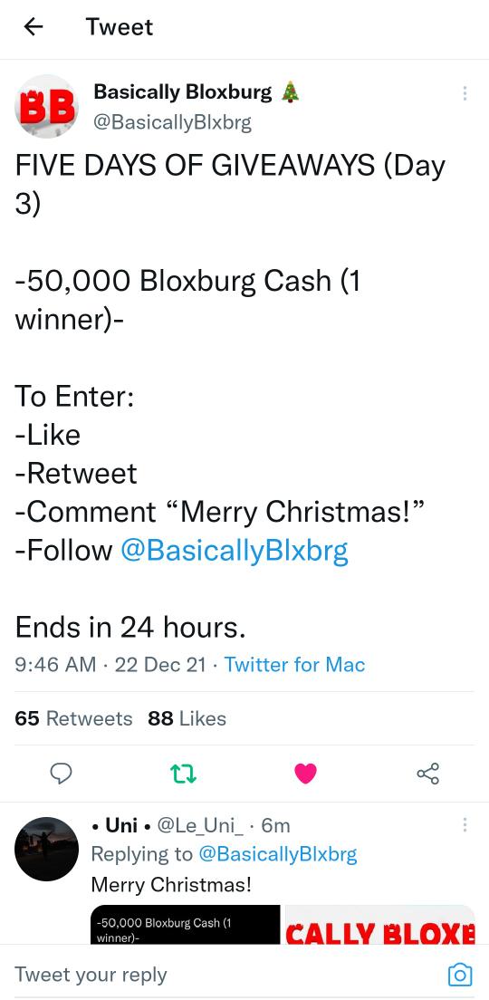 LauraAdventure's tweet photo. @BasicallyBlxbrg Merry Christmas! https://t.co/SI8drURgSb