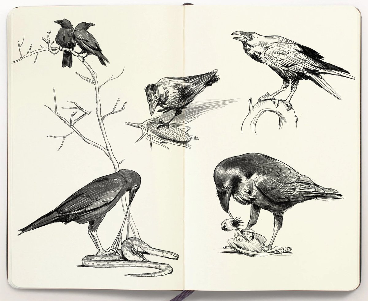 Give yourself an early Christmas gift. All these drawings are made with a digital pencil brush available at https://t.co/cj7iPIPpAt!