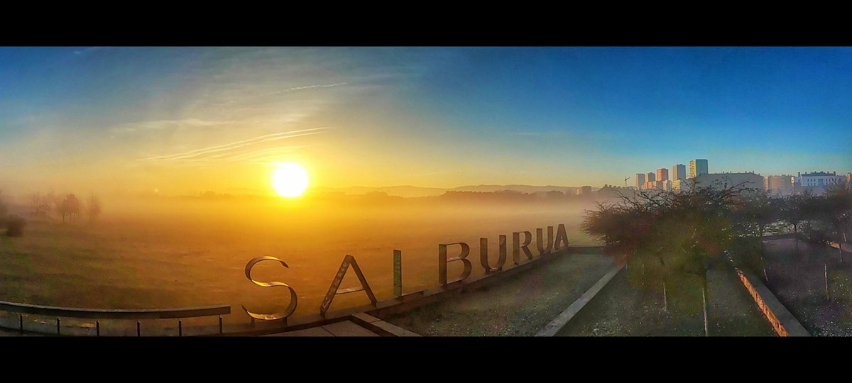 aitorfoto's tweet photo. Mañanas de niebla y sol. #arfoto #aitorramos #VitoriaGasteiz #Alava #streetphotography #salburua #niebla # https://t.co/rthcIYWXmy