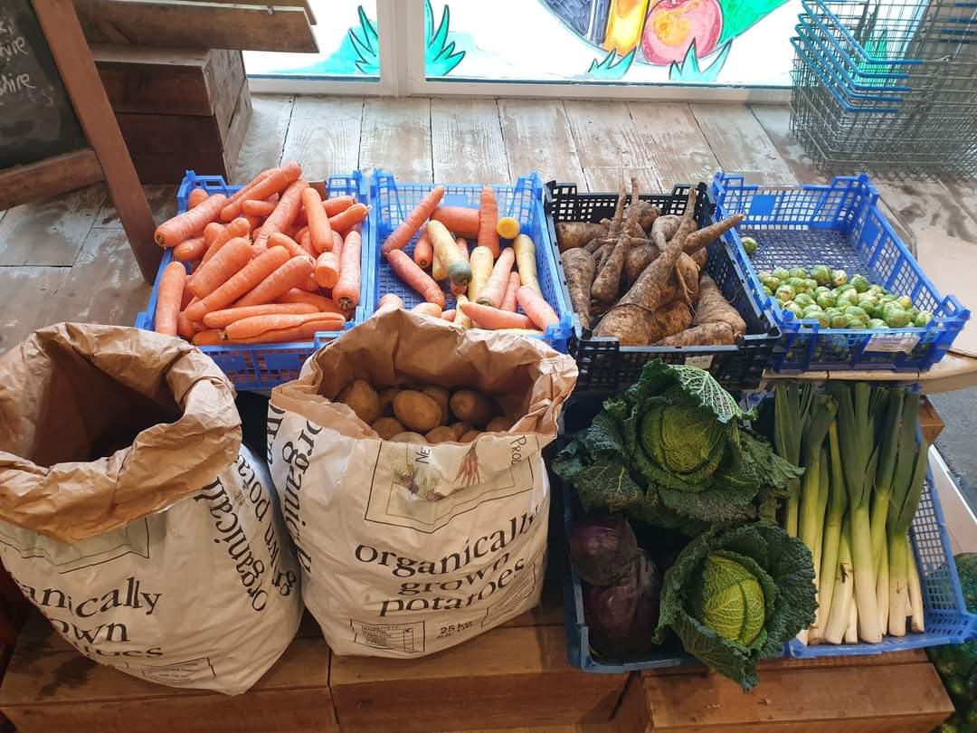 GoodThingVeg's tweet photo. Still plenty of time to come and get your #organic delicious Crimbo veg from us!

We've got a MASSIVE delivery coming tomorrow from the magnificent @OrganicNorth so come say hi! We'd bloody love to see you https://t.co/SangpK7GGv