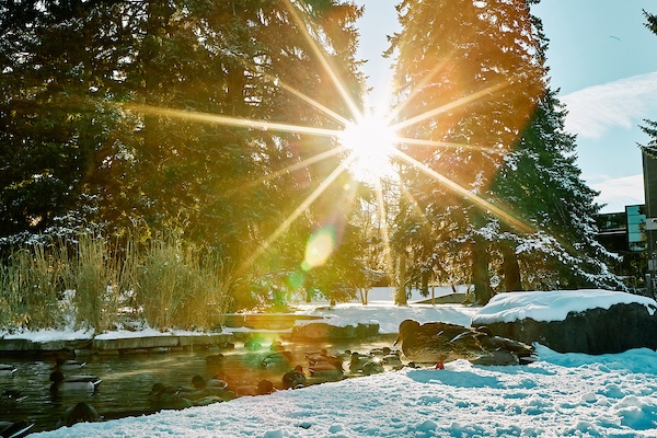 MSU_Grad_School's tweet photo. Wishing everyone a wonderful holiday break. 

------------
MSU Photo by Adrian Sanchez-Gonzalez https://t.co/R8N3w3mLz0