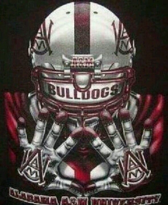 HBCU Premier Sports & More tweet media