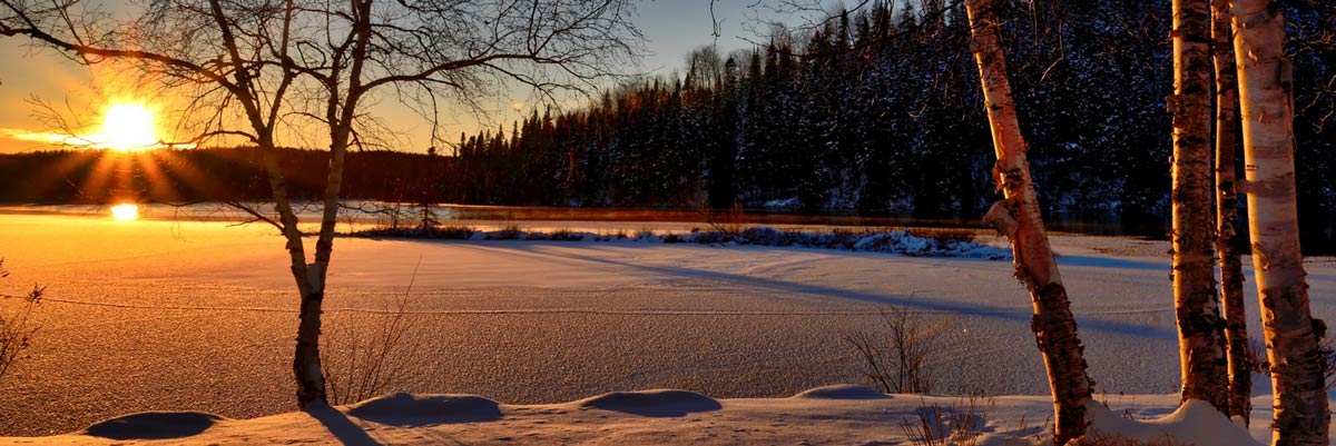 intercede_eu's tweet image. Wishing all our partners and stakeholders all the best for a SINCERELY wonderful festive season! We look forward to working with you all in the New Year 2022!
#sincereforests