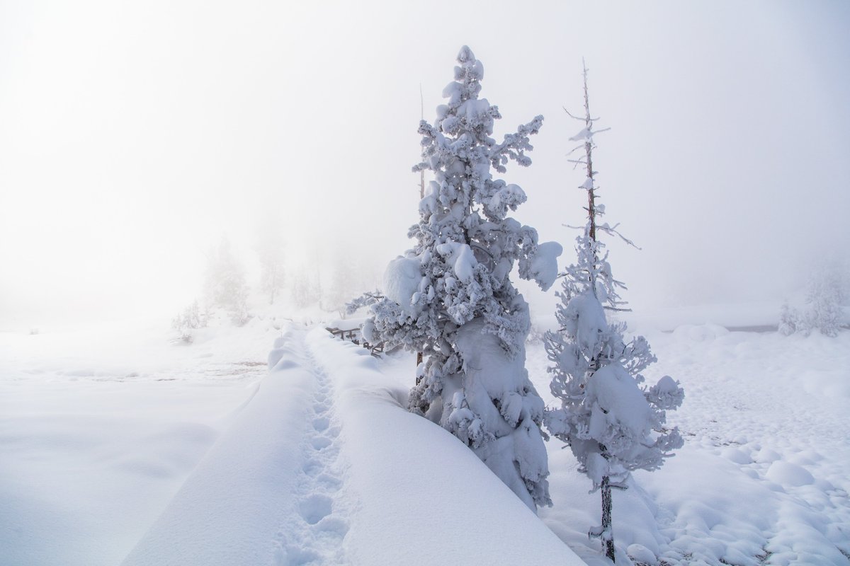 YellowstoneNPS's tweet photo. From our Yellowstone family to yours, we hope you have a safe and wonderful Christmas and holiday season! ❄

Photo: Boot prints on a snowy boardwalk at Mud Volcano in winter. https://t.co/FgDi8GfzCH