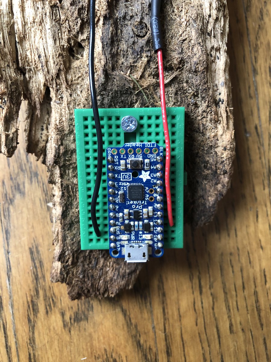 joshburker's tweet photo. "Ersatz Nature: Northern Flicker." Another in my series of simulated #nature. Windfall wood, @adafruit Trinket Pro, PCM #8bit audio playback. https://t.co/zNej9WJDAI #programming #Arduino #electronicSheep #simulation https://t.co/3GZMmXpRQZ