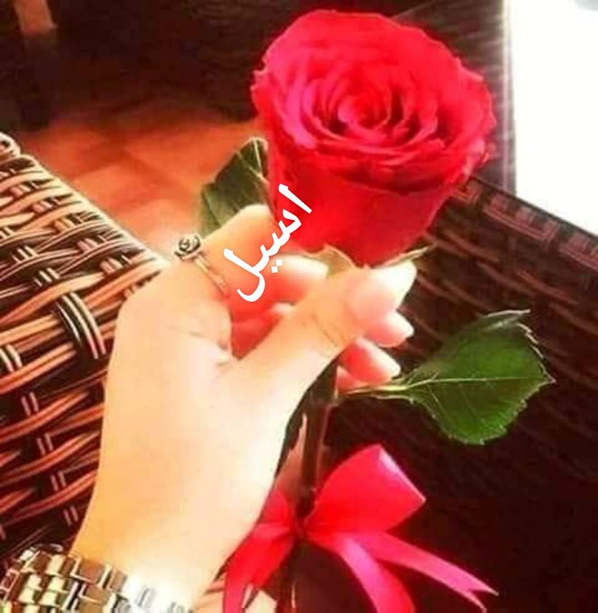 حسابات مضمونه ونشطه الان
<a href="/1Yii8/">قــــروب اسيـــــــل علي♥ للـــــدعــــــــــم</a> 
<a href="/Yii1m/">مملكة بنت ذمار للدعم♏ⓐⓛⓗⓐⓜ1 9K</a>
<a href="/rii7mm/">حنان الصنعاني</a>
<a href="/00Yii/">Ⓜ🅰j🅰🆔مأّجِدِ</a>
<a href="/yuurrur/">فراشة تويتر🦋</a> 
<a href="/00Yii/">Ⓜ🅰j🅰🆔مأّجِدِ</a> 
<a href="/f12777/">اسيل التعزي</a> 
@1SA_If
<a href="/N_i_l/">#أبوعرب 𓂆 #مـعالي المـقاوم 🇵🇸</a>
<a href="/Yiii8m/">يوسف...شامخ شموخ الجبال/للدعم</a>
<a href="/q_ri1_/">القرشي</a>
<a href="/Sjjiia/">Sjjiia</a>
<a href="/as__el__/">💞💞اسوووووول💞💞</a>
<a href="/l_f1i/">SOLANA WHALES@1000X 🐳</a>
<a href="/fa_oj8/">༄𓍯ȷᓗ̣ᓅ</a>
<a href="/kin__77/">لامي_رحمة الله</a>
@esoo2_vip
@A_m_o_n_A
@njd__j
<a href="/Noorhee/">بنت تهامه</a>
<a href="/20t09/">هديل محمد 💫</a>
<a href="/49BdW/">عبد على</a> 
<a href="/8_fcfl/">نجم مالغيت متابعة احد</a>
<a href="/How33367/">Hah00.33</a>
<a href="/rrrreeeerrrrrs/">بِسْمِ اللهِ الرَّحْمنِ الرَّحِيمِ</a>