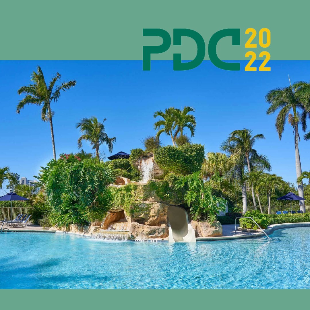 Petrus Development tweet media