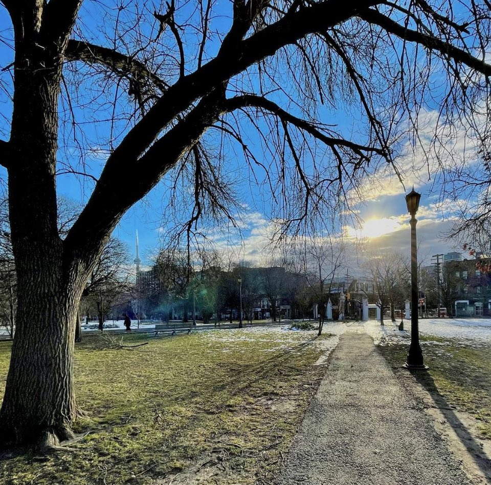 FriendsofTriBel's tweet photo. Good morning #Trinitybellwoods #wintermore #brisk #cold https://t.co/caq2KNXynx