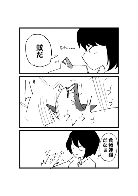 鮫肌娘 