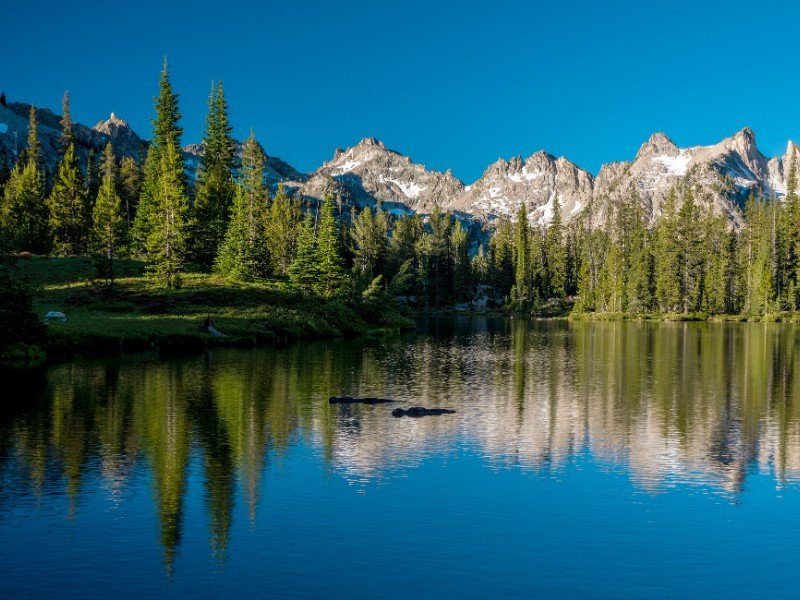 chadklaus's tweet photo. See which of these lakes in Idaho would make for a fun #familyvacation. #outdoors  https://t.co/xXFavmHhYa https://t.co/8AcyXQefnL