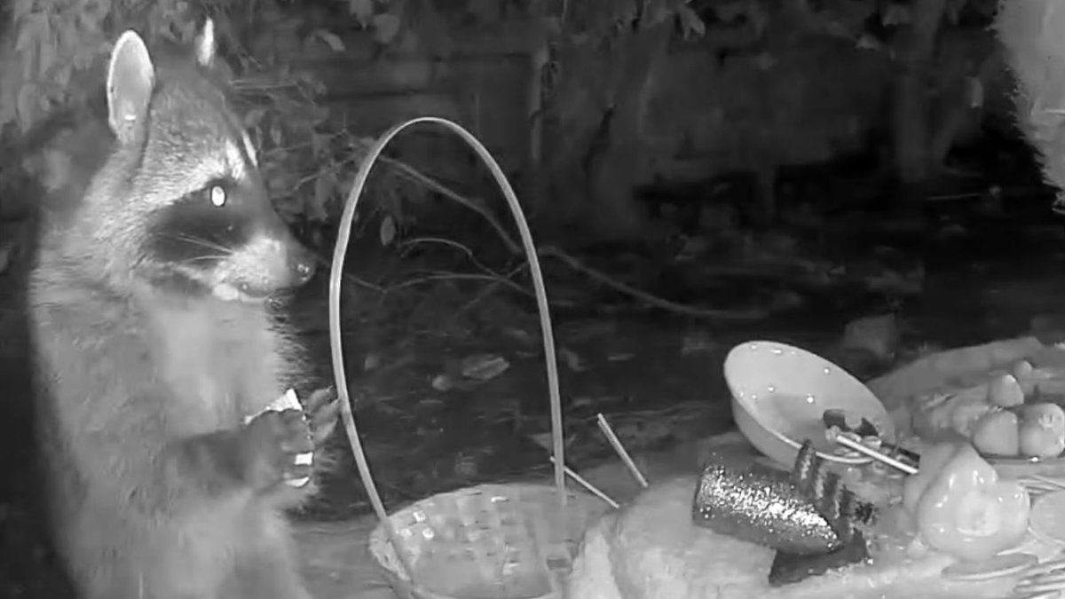 Garrett Watts tweet media