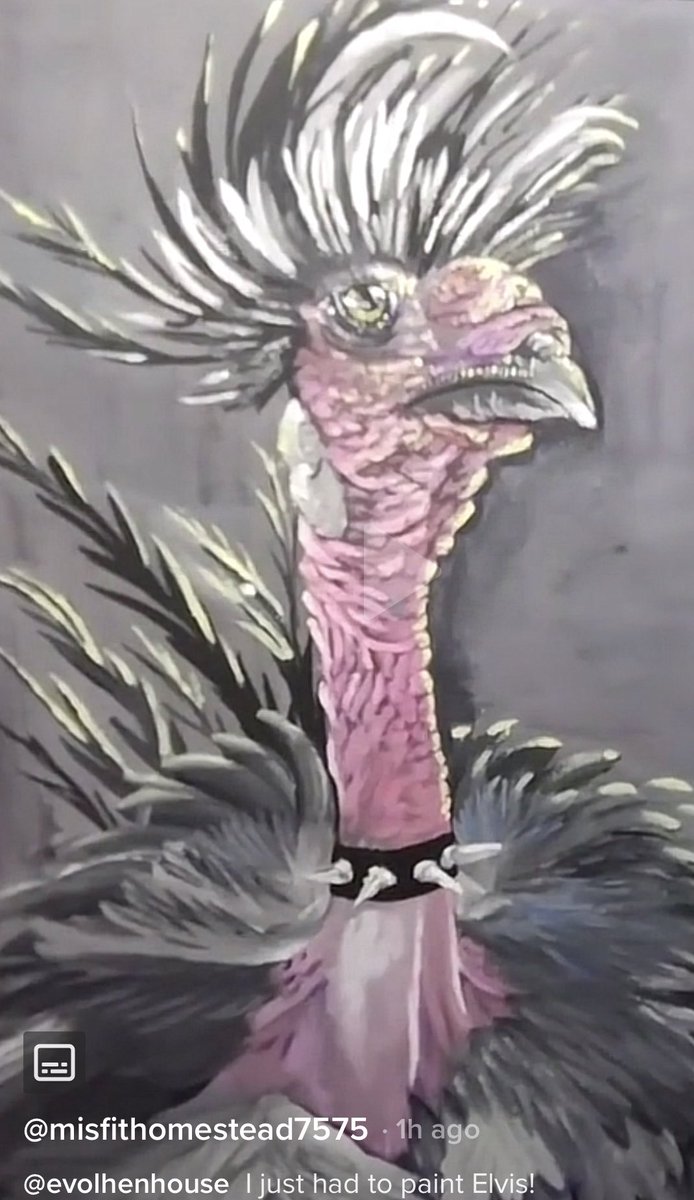 𝑬𝒗𝒐𝒍 𝑯𝒆𝒏 𝑯𝒐𝒖𝒔𝒆 ( EvolHenHouse) Twitter