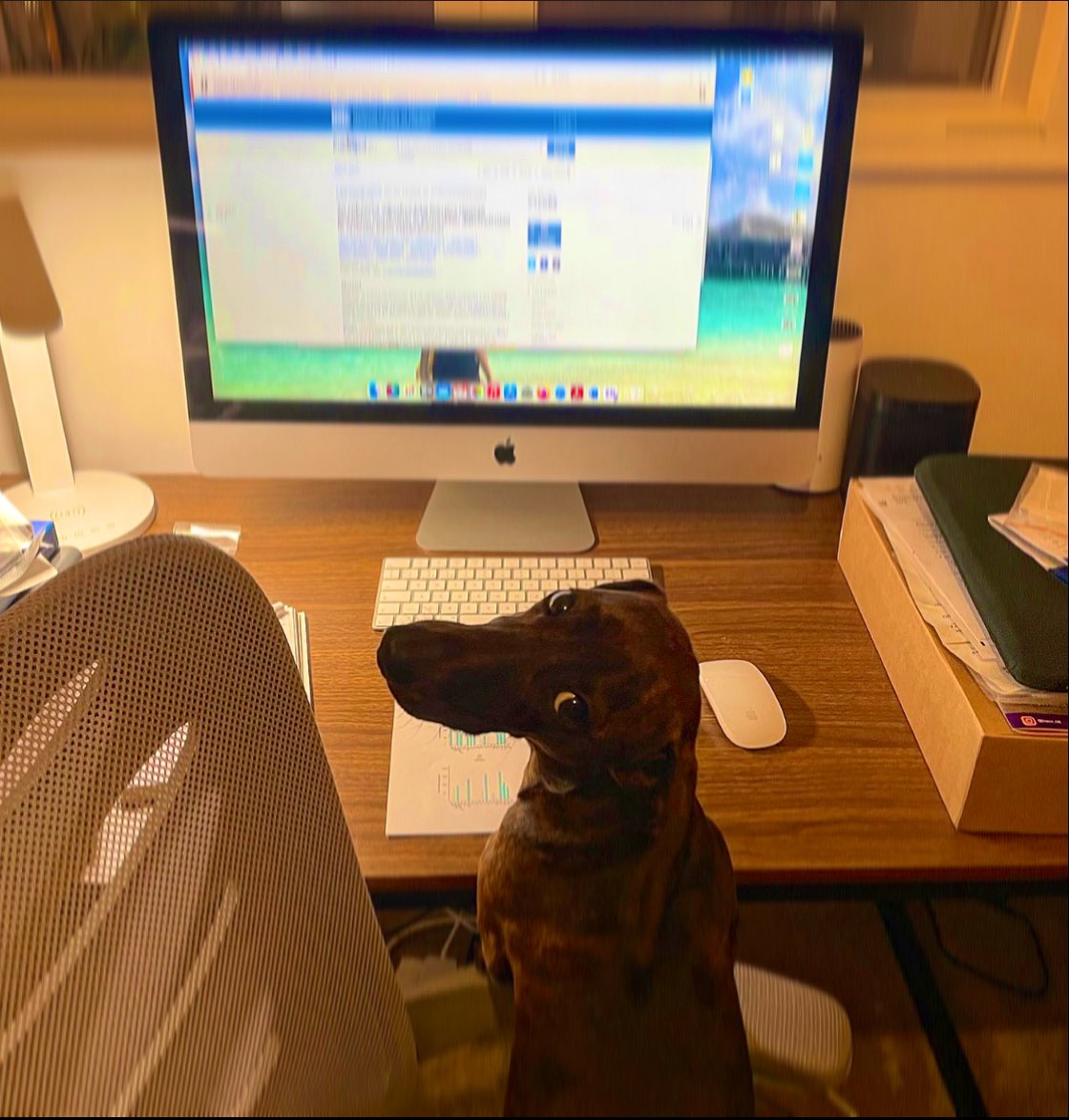 chriswincup's tweet photo. Putting the finishing touches to the final paper of 2021 π
Thankfully my co-author stepped in at the last minute to give it the final push #PetsofACR #RheumPets #AntiBuddy https://t.co/GKo1uRDFrg