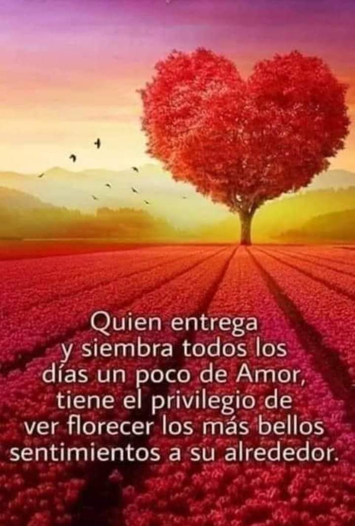 Robertoabog's tweet photo. https://t.co/WSge4Q1t4X
