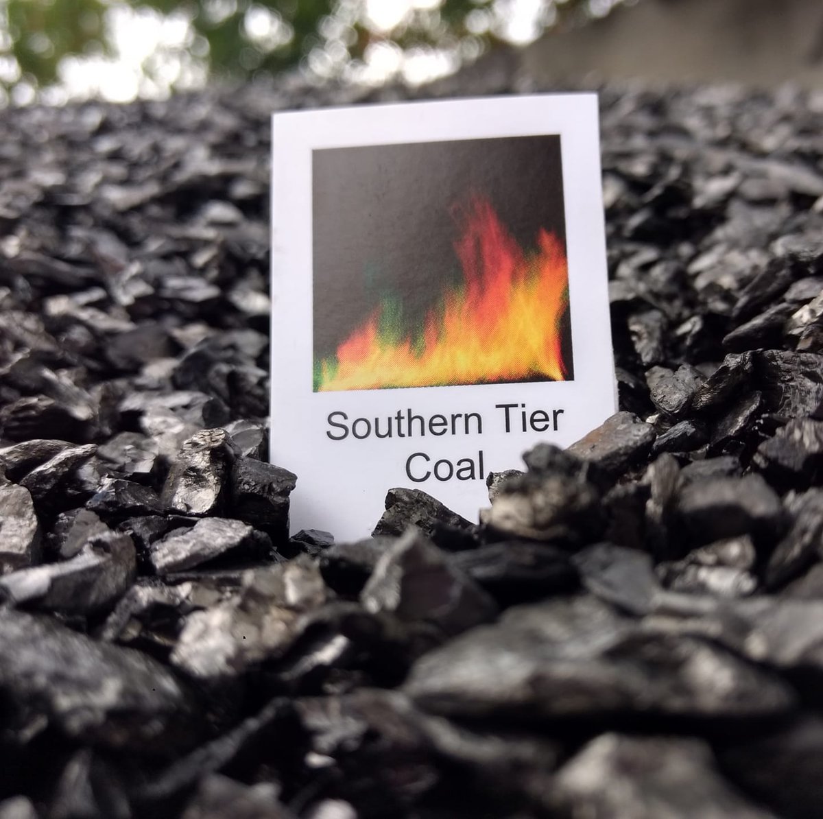 CSSWorkforceNY's tweet image. Southern Tier Coal have open positions, ready for you! Delivery Driver and Delivery Helper. Follow the link to apply today!

facebook.com/jobs/job-openi…