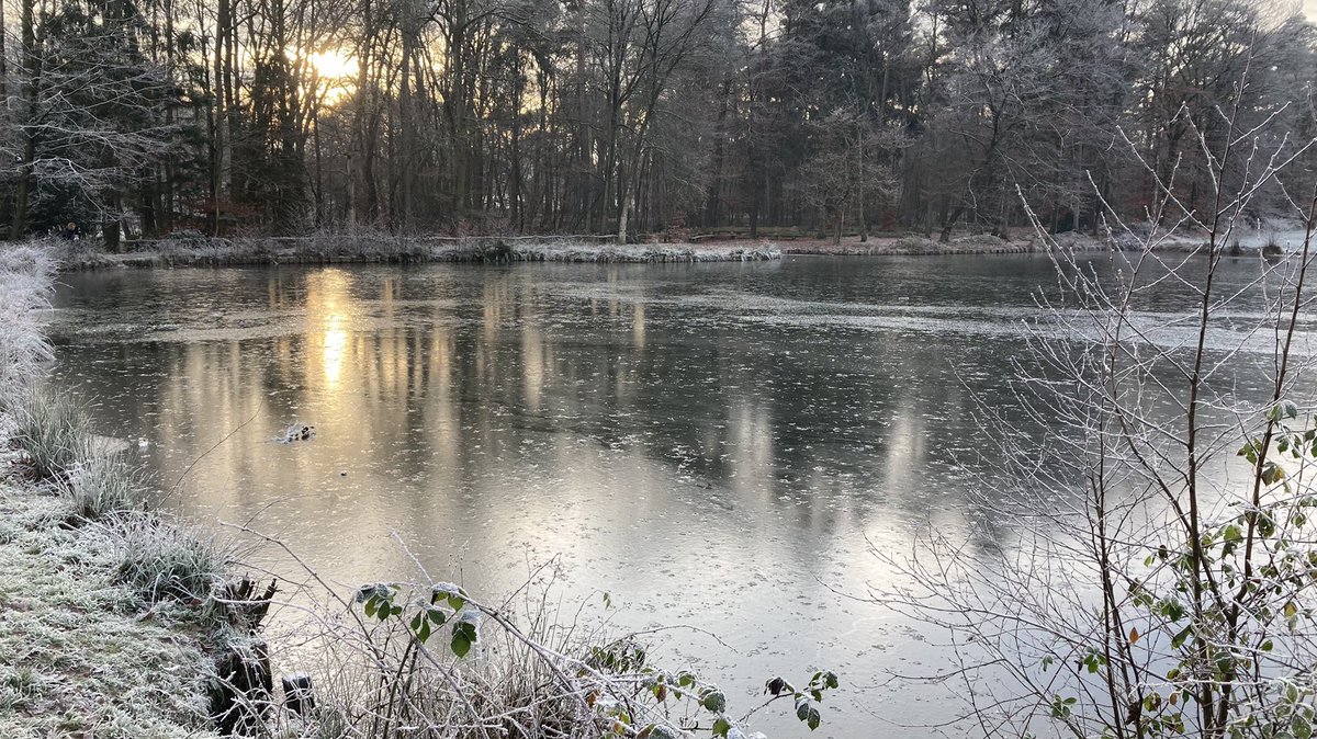 IvanZkey's tweet photo. Wat is het toch mooi in de winter rondom @HoeveSpringenda https://t.co/zKDfAasVm3