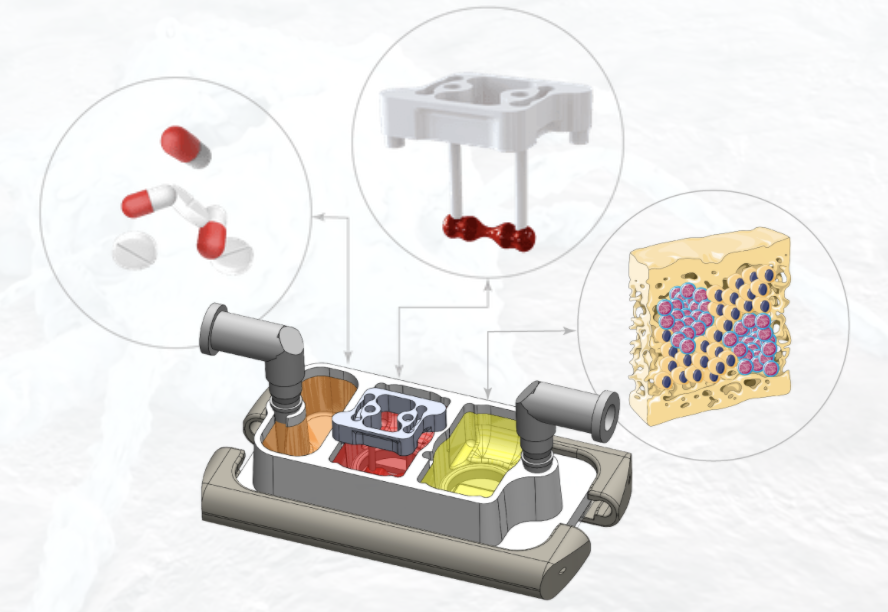"Miniaturizing Cancer on a Chip: Engineers are working with biologists to revolutionize the study of cancer and disease progression"

Check out this <a href="/columbiacancer/">Herbert Irving Comprehensive Cancer Center</a> feature of Gordana, @DiogoTeles, &amp; <a href="/ChramiecAlan/">Alan Chramiec</a> of their 2020 <a href="/LabonaChip/">Lab on a Chip</a> paper pubs.cancer.columbia.edu/miniaturizing-…