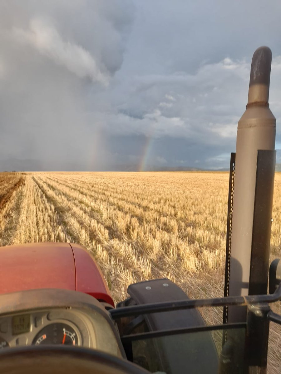 dancankipya's tweet photo. The next #farming season is just around. Are you ready for #2022farming season? Check in. Let's make farming real https://t.co/AvxEWtQSt9