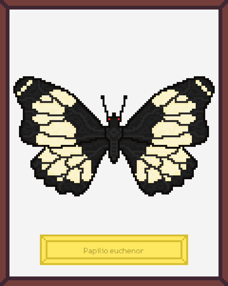 ButterfliesNFTs's tweet photo. The third drop will include 11 butterflies and will take place tomotow 7 pm UTC. Each #NFT in this collection is a real butterfly species. 

https://t.co/NhtOihWmar

#NFTs #NFTCommunity #nftcollector https://t.co/pN3KNkqvYQ