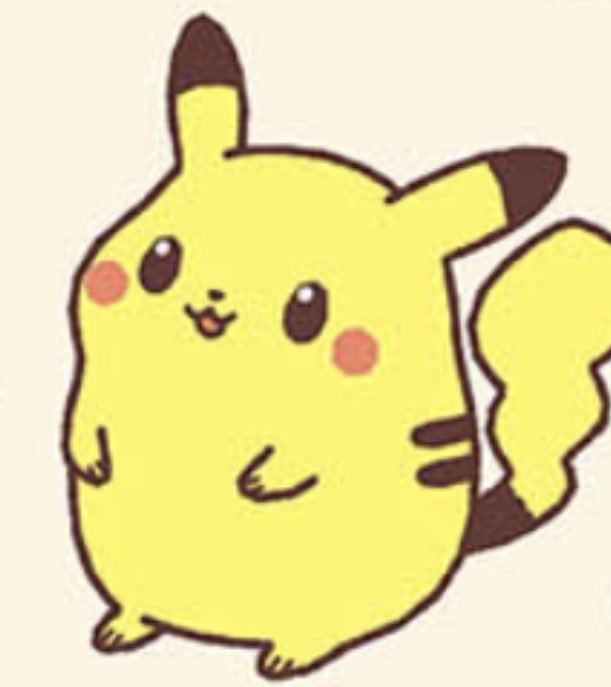 pikachu stole my credit card and called me a bitch tweet media