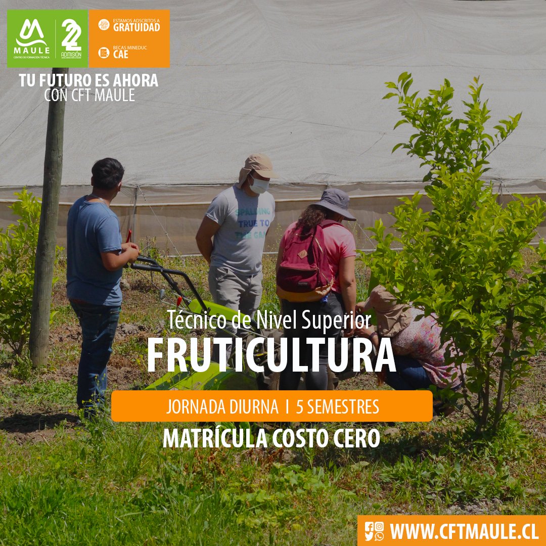 cft_maule's tweet photo. ¡Aporta al desarrollo del área agrícola! Matrículas Abiertas en TNS en Fruticultura, jornada diurna en el CFT Estatal de la Región del Maule.
Solicita información
https://t.co/GXxSo7osdt
#TuFuturoEsAhora
Centro de Formación Técnica del Maule.
#CFT #CFTECH https://t.co/oLaVpdrN39