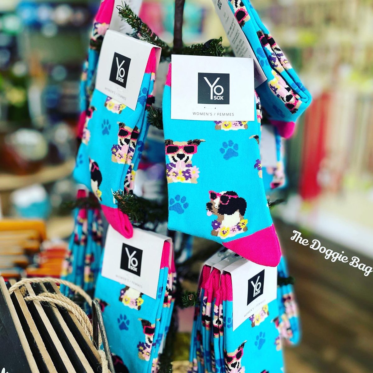 thedoggiebag's tweet photo. Don’t Forget the Dog Lover in your life!
Grrrreat Gifts for under $10 @doggiebagboutique 🐾❤️🐾

#doglover #doglovers #lovemydog #dogmom #dogdad #dogsoflakeland #dogmomsoflkld #dogslife #thedoggiebag #shoplakeland #lakelandflorida https://t.co/EZ9w4eyRpa