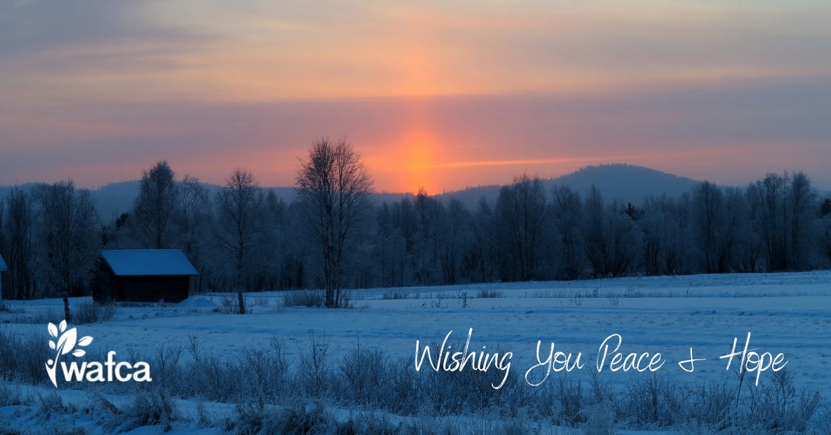 wafca_wi's tweet photo. This may be the darkest time of year, but it’s also when the seeds of future change begin to grow! 

From all of us at WAFCA, we wish you peace and hope in this special time of year. https://t.co/4tHT7MI8uf