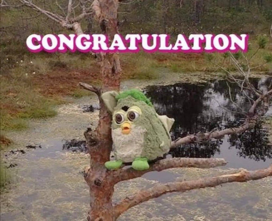 Quinta 😏 tweet media