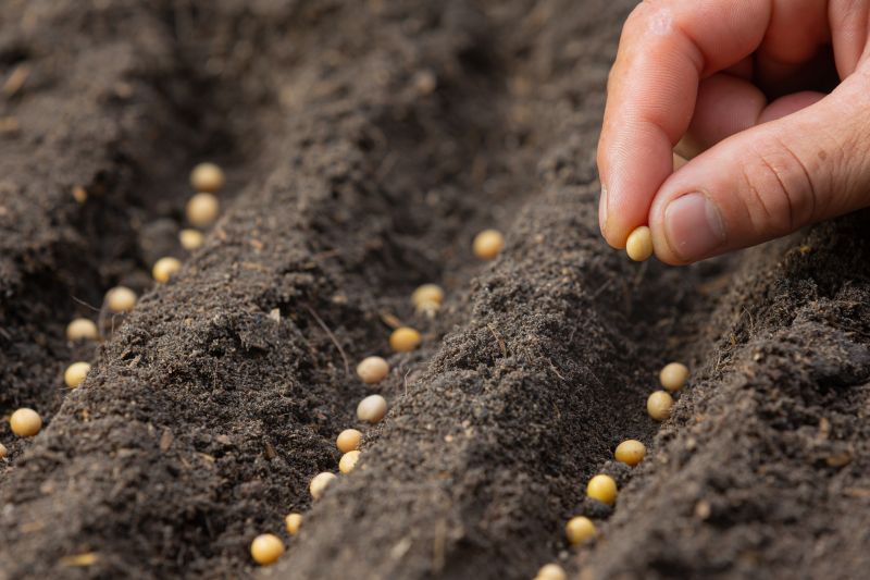 SensientInd's tweet photo. Looking to enhance your fertilizer brand? Our range of colorants and odor controllers is designed to boost field visibility and flowability. We'd love to talk with you.
https://t.co/mAgTX2LCWn
#fertilizerbrands #agriculture https://t.co/unvixrQU5I