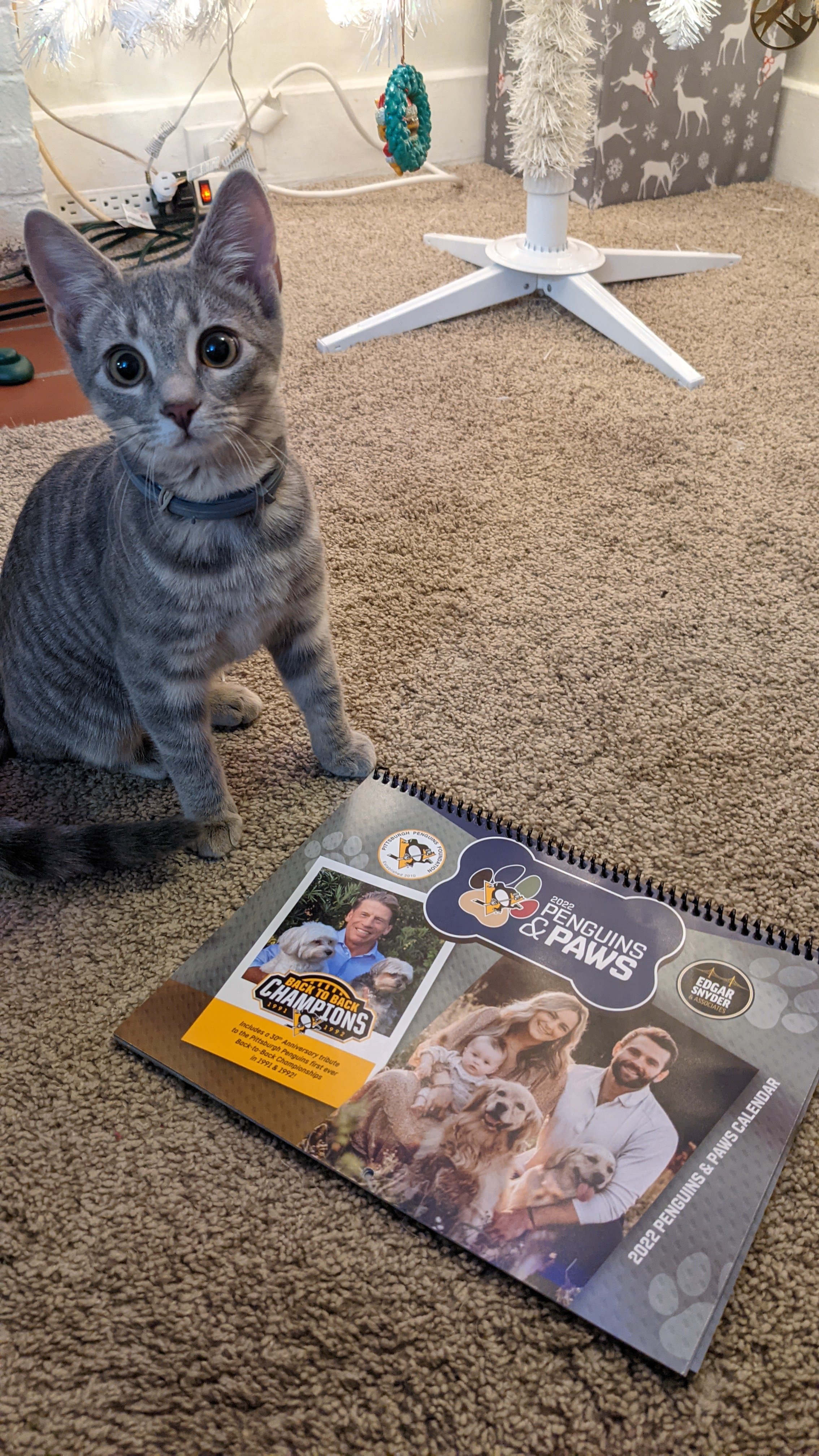 Pens And Paws Calendar 2022 Animal Friends On Twitter: "There Is Still Time To Pick Up The Perfect  Last-Minute Stocking Stuffer For Everyone On Your List! Stop Into Our  Retail Store To Pick Up Your 2022 Penguins