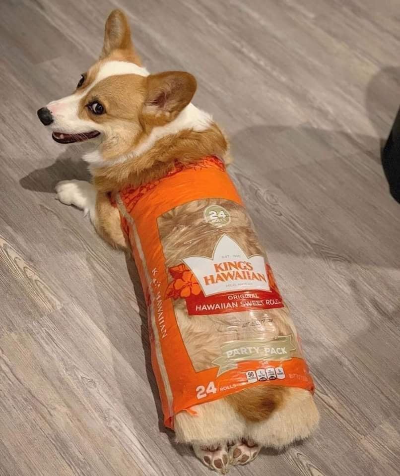muffinsaregood4's tweet photo. @KimSaraangeldog https://t.co/JxwKDeR0lo