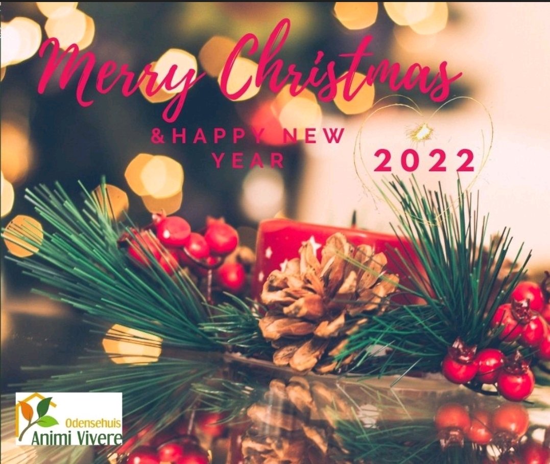 animivivere's tweet photo. Vanuit het Odensehuis Animi Vivere wensen wij  u fijne feestdagen en een heel gelukkig, gezond en liefdevol 2022!! 🎄🍾🥂🍀💝 https://t.co/ZLHXl8eeLQ