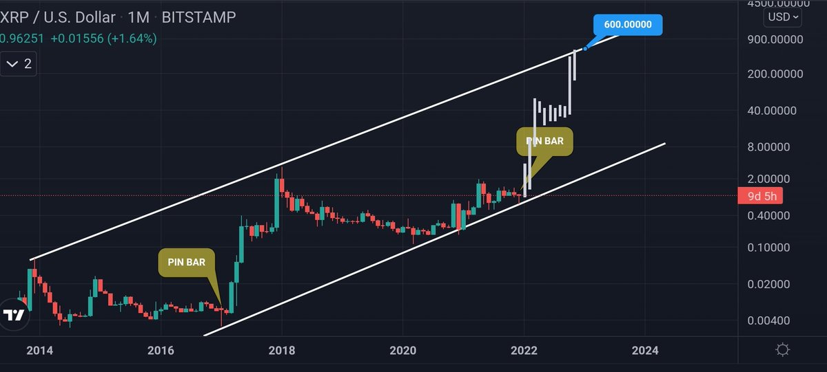 XRP CAPTAIN 590✪ tweet media