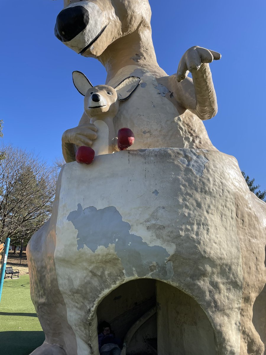 Cody Tapp tweet media