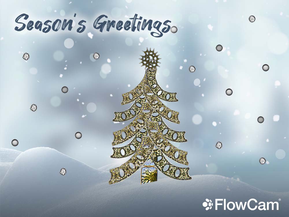 Wishing everyone safe and Happy Holidays!
Our offices will be closed on December 24th, 27th, and 31st.
We look forward to working with you in 2022.

Pictured below: a FlowCam collage featuring Eucampia, Pediastrum, drug delivery molecules, and live human cells.