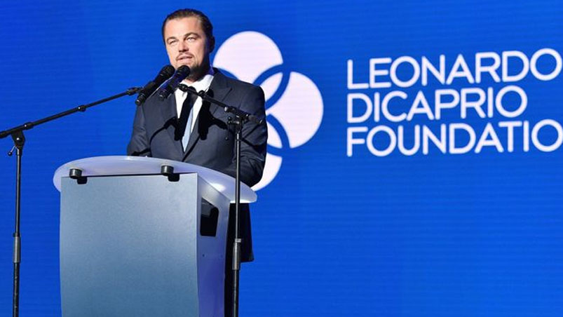 El mensaje de Leonardo DiCaprio por el Parque Nacional Ansenuza de Córdoba >> eldoce.tv/show/mensaje-l…