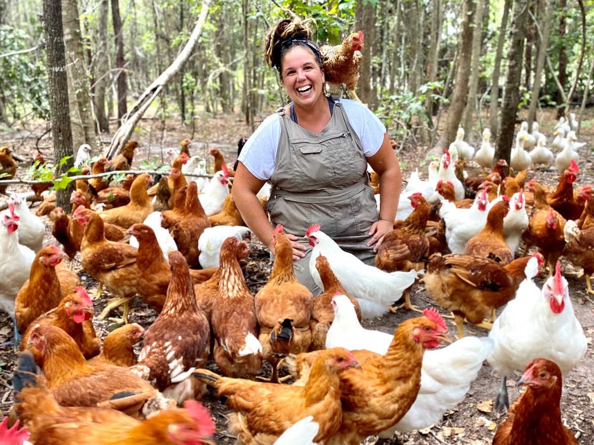 SCDAgriculture's tweet photo. Read about the latest SC agribusinesses to receive funding and business development training from our Agribusiness Center for Research and Entrepreneurship (ACRE)! https://t.co/z88UDhz6BU https://t.co/V85p4Iyk7h