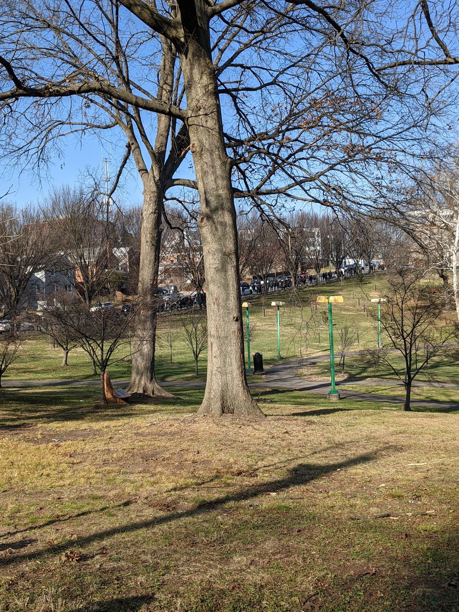 Randomneur's tweet photo. The line to get a rapid test today at Woodridge library around noon. https://t.co/AyAiu5Ywew