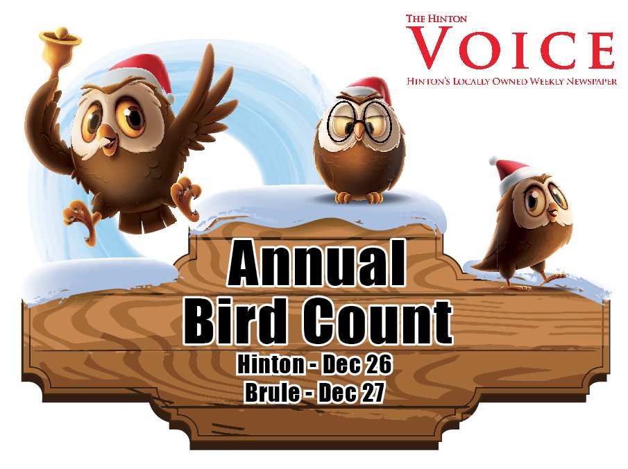 HintonVoiceInc's tweet photo. Whew, our Dec. 23 edition is off to press and we're hammering down on the Dec. 30 edition so we can take a break over the holidays. Watch for information on how you can participate in the Annual Christmas Bird Count, Canada's longest running citizen science project. https://t.co/pu1bbgV0Lm